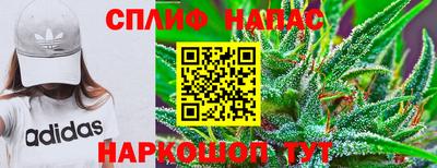 прущие грибы Кулебаки