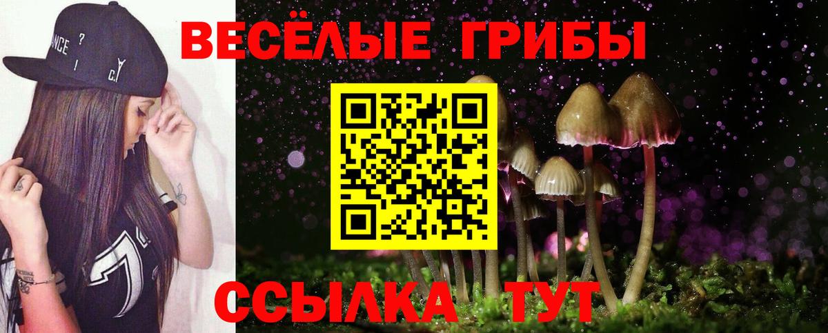 Псилоцибиновые грибы мицелий Среднеуральск